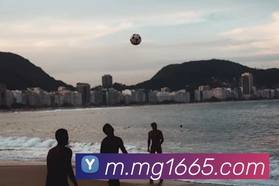 MG娱乐平台官网发展历程